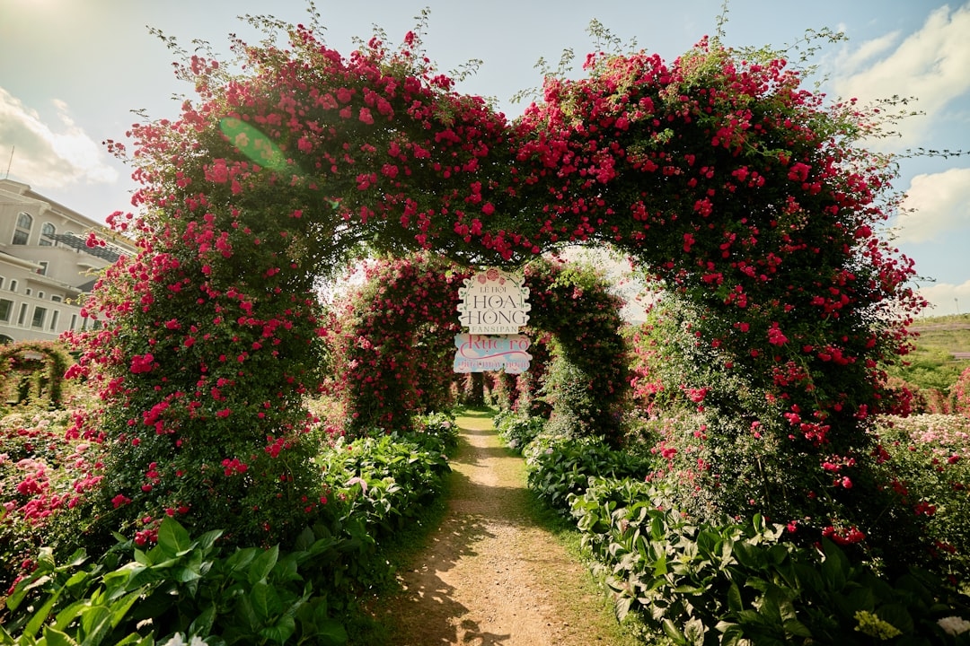 Flower arch rental services compared