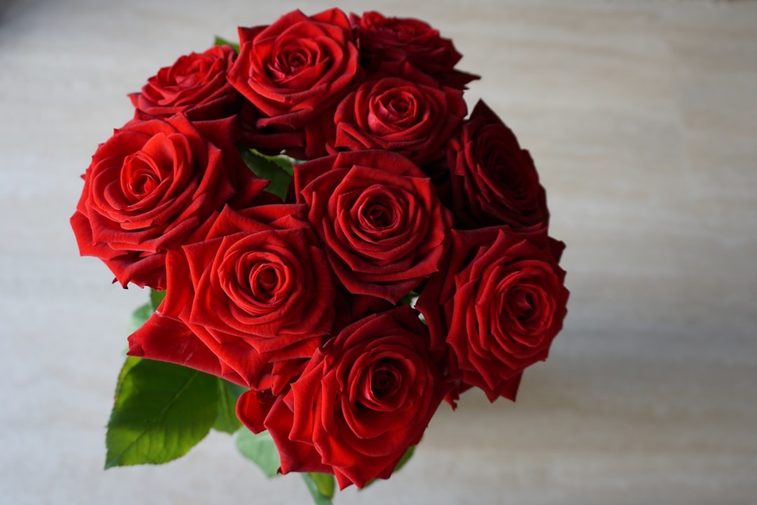 What Flowers to Give for an Anniversary: Best Rose & Signature Bouquet Ideas